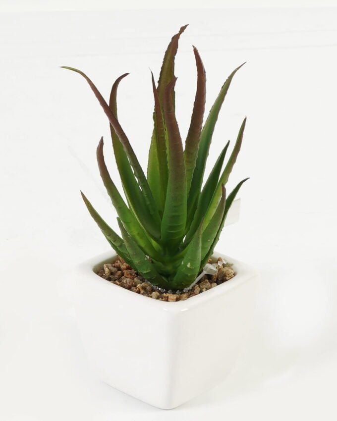 Artificial Succulent plants in PP pot GS-70423010CONTI-G3_9 Artificial succulent 6*6*13cm Succulent plants in PP pot GS-70423010CONTI-G3 Succulent YeahFlower is one of Chinese leading OEM manufacturers and exporters , supplying the silk flowers, wholesale artificial trees