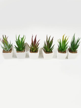 Artificial succulent 7*7*13cm Succulent plants in PP pot GS-70423009CONTI-G3 Succulent 3,000+ sqm showroom with thousands of artificial flowers, plants & trees ready for global sourcing.