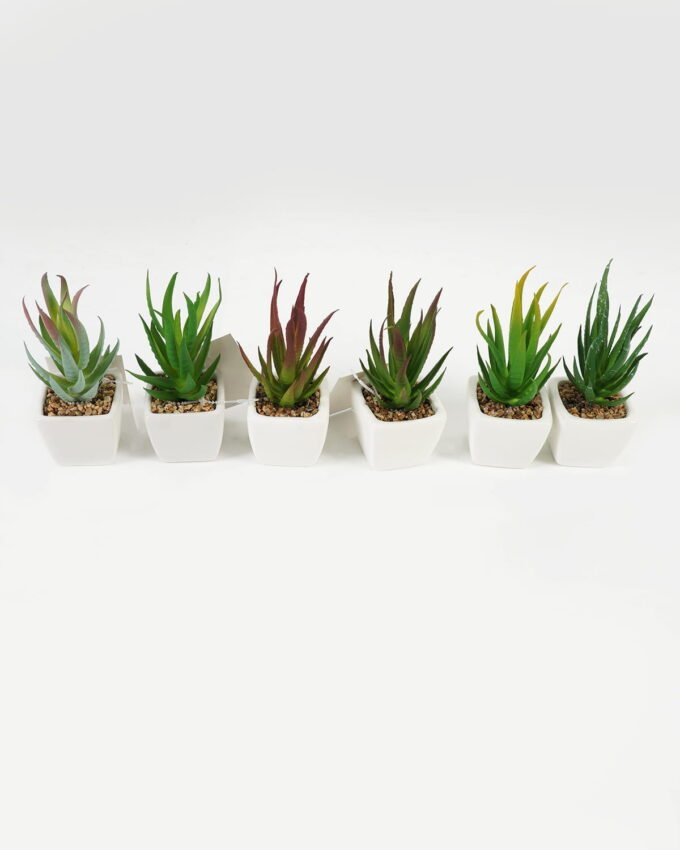 Artificial succulent 6*6*13cm Succulent plants in PP pot GS-70423010CONTI Succulent YeahFlower is one of Chinese leading OEM manufacturers and exporters , supplying the silk flowers, wholesale artificial trees