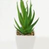 Artificial succulent 6*6*13cm Succulent plants in PP pot GS-70423010CONTI Succulent YeahFlower is one of Chinese leading OEM manufacturers and exporters , supplying the silk flowers, wholesale artificial trees