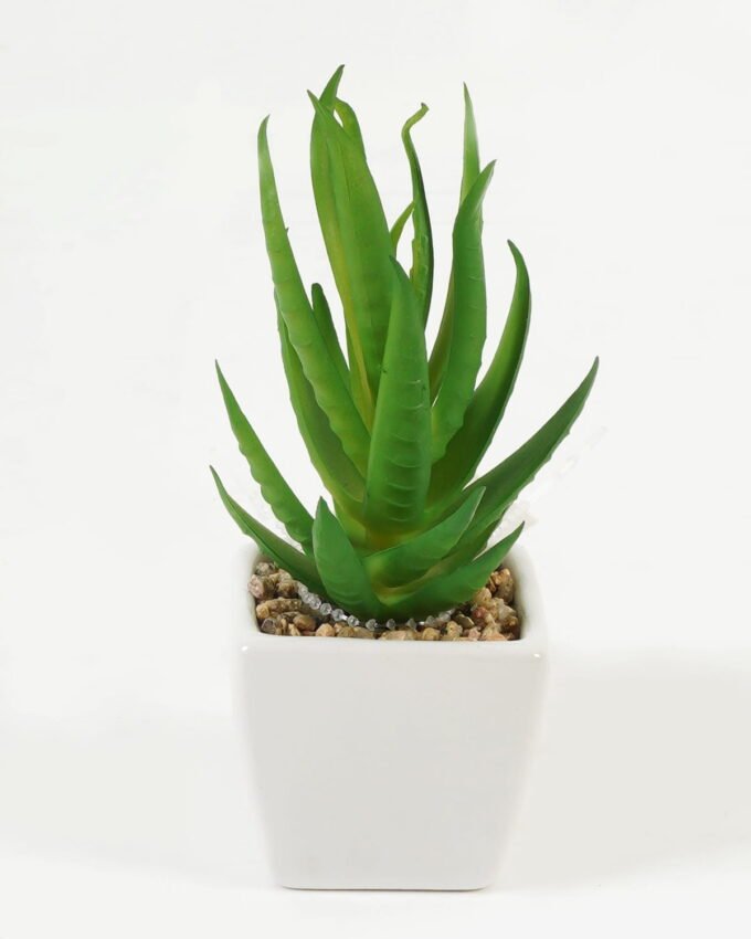 Artificial succulent 6*6*13cm Succulent plants in PP pot GS-70423010CONTI Succulent YeahFlower is one of Chinese leading OEM manufacturers and exporters , supplying the silk flowers, wholesale artificial trees