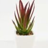 Artificial succulent 6*6*13cm Succulent plants in PP pot GS-70423010CONTI Succulent YeahFlower is one of Chinese leading OEM manufacturers and exporters , supplying the silk flowers, wholesale artificial trees