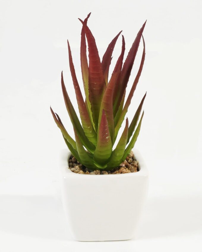 Artificial succulent 6*6*13cm Succulent plants in PP pot GS-70423010CONTI Succulent YeahFlower is one of Chinese leading OEM manufacturers and exporters , supplying the silk flowers, wholesale artificial trees