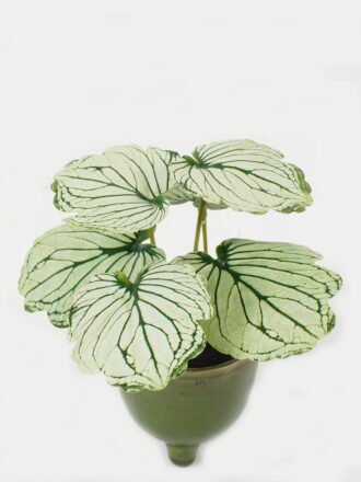 Artificial Table Plants 15*12*16cm Begonia leaf in ceramic pot GS-03323110 Potted Flowers&Plants 3,000+ sqm showroom with thousands of artificial flowers, plants & trees ready for global sourcing.