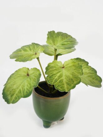 Artificial Table Plants 20*20*19cm Daisy in PP pot GS-03323028-W Potted Flowers&Plants 3,000+ sqm showroom with thousands of artificial flowers, plants & trees ready for global sourcing.
