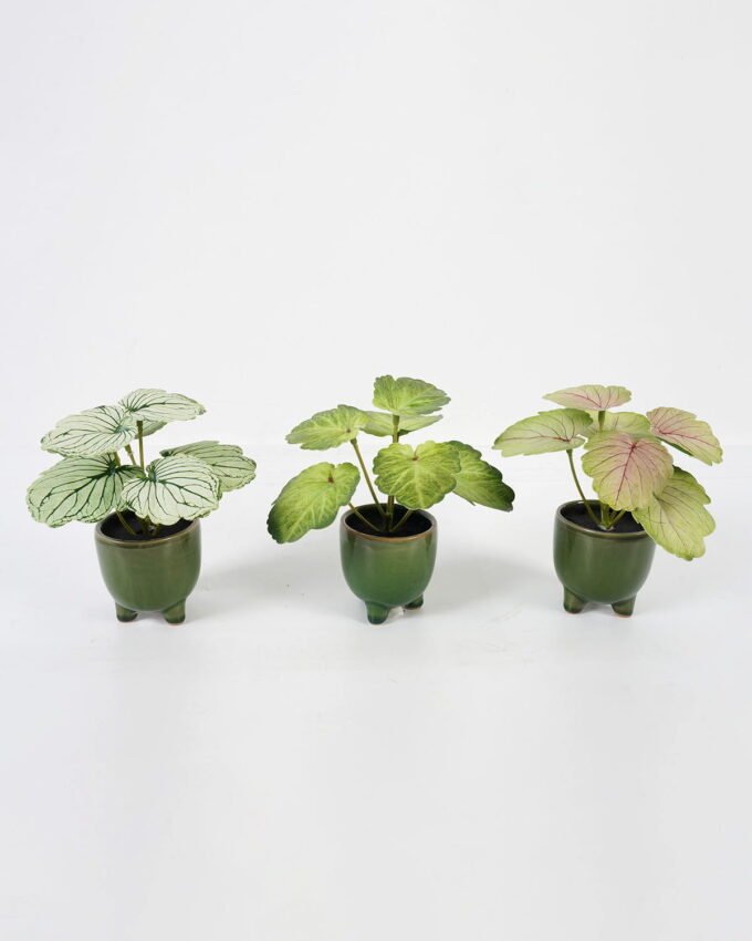 Artificial Table Plants 15*12*16cm Begonia leaf in ceramic pot GS-03323110 Potted Flowers&Plants YeahFlower is one of Chinese leading OEM manufacturers and exporters , supplying the silk flowers, wholesale artificial trees