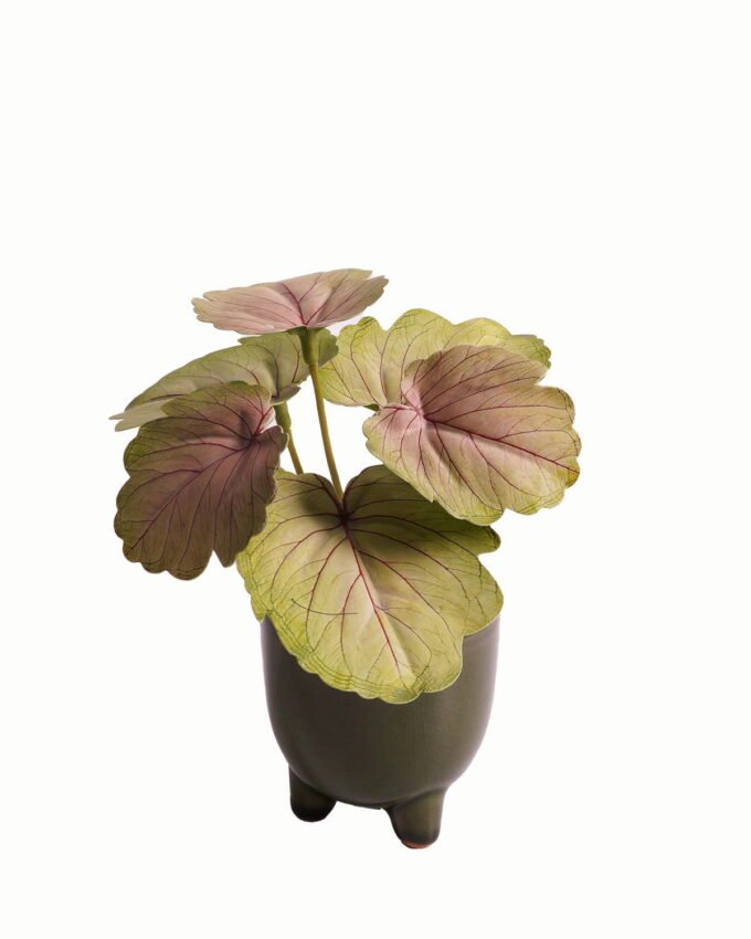 Artificial Table Plants 15*12*16cm Begonia leaf in ceramic pot GS-03323110 Potted Flowers&Plants YeahFlower is one of Chinese leading OEM manufacturers and exporters , supplying the silk flowers, wholesale artificial trees