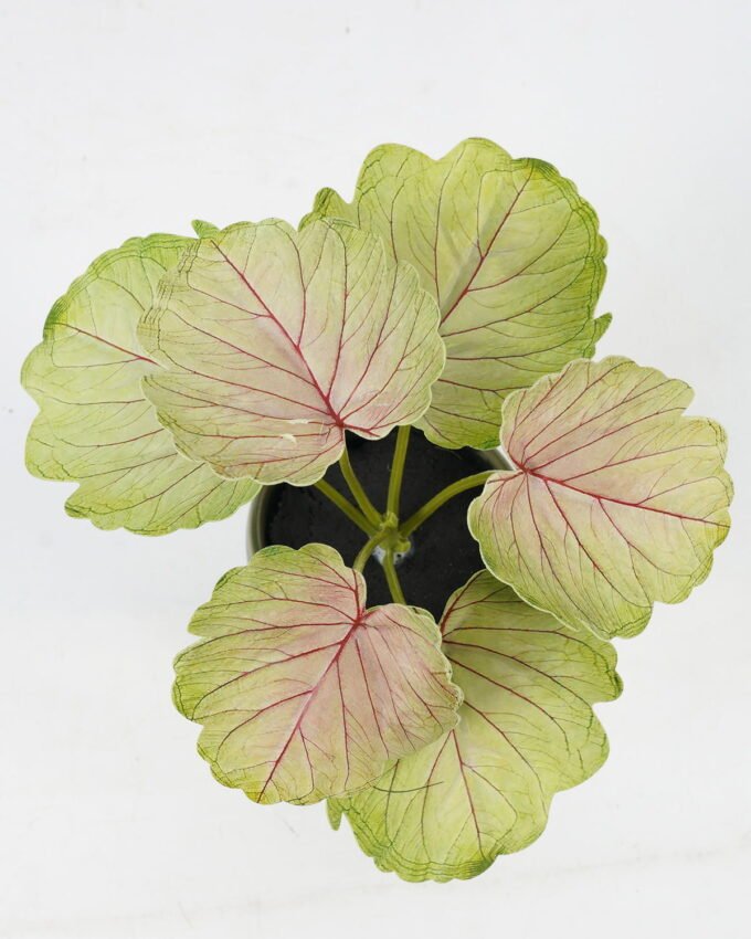 Artificial Table Plants 15*12*16cm Begonia leaf in ceramic pot GS-03323110 Potted Flowers&Plants YeahFlower is one of Chinese leading OEM manufacturers and exporters , supplying the silk flowers, wholesale artificial trees
