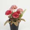 Artificial Table Plants Carnation in PP pot GS-03323039-P2_4 Artificial Table Plants 20*20*21cm Carnation in PP pot GS-03323039-P2 Potted Flowers&Plants YeahFlower is one of Chinese leading OEM manufacturers and exporters , supplying the silk flowers, wholesale artificial trees