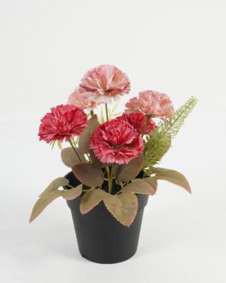 Artificial Table Plants 20*20*21cm Carnation in PP pot GS-03323039-P2 Potted Flowers&Plants YeahFlower is one of Chinese leading OEM manufacturers and exporters , supplying the silk flowers, wholesale artificial trees Artificial Table Plants 20*20*21cm Carnation in PP pot GS-03323039-P2 Potted Flowers&Plants YeahFlower is one of Chinese leading OEM manufacturers and exporters , supplying the silk flowers, wholesale artificial trees