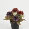 Artificial Table Plants 20*20*21cm Carnation in PP pot GS-03323039-Z2 Potted Flowers&Plants YeahFlower is one of Chinese leading OEM manufacturers and exporters , supplying the silk flowers, wholesale artificial trees