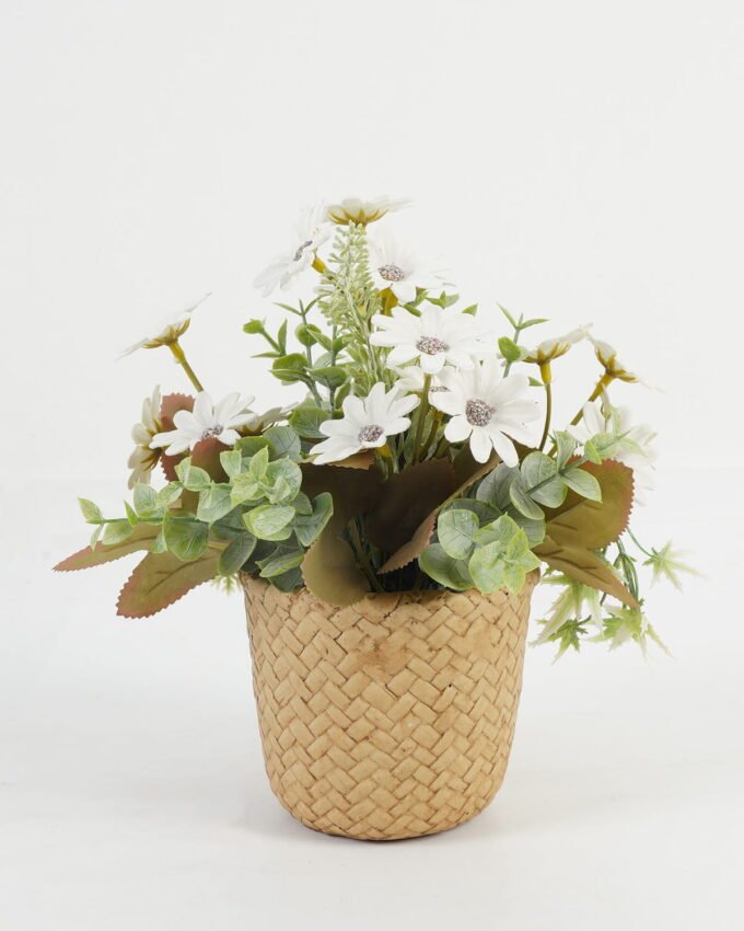 Artificial Table Plants 20*20*20cm Daisy Eucalyptus in Cement pot GS-03323048-W1 Potted Flowers&Plants YeahFlower is one of Chinese leading OEM manufacturers and exporters , supplying the silk flowers, wholesale artificial trees