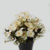 Artificial Table Plants 20*20*19cm Daisy in PP pot GS-03323028-W Potted Flowers&Plants YeahFlower is one of Chinese leading OEM manufacturers and exporters , supplying the silk flowers, wholesale artificial trees