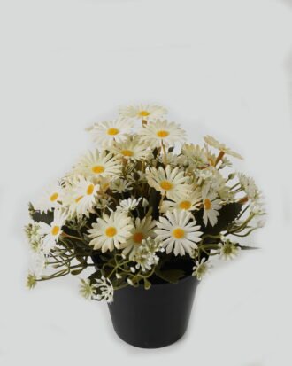 Artificial Table Plants 20*20*19cm Daisy in PP pot GS-03323028-W Potted Flowers&Plants YeahFlower is one of Chinese leading OEM manufacturers and exporters , supplying the silk flowers, wholesale artificial trees Artificial Table Plants 20*20*19cm Daisy in PP pot GS-03323028-W Potted Flowers&Plants YeahFlower is one of Chinese leading OEM manufacturers and exporters , supplying the silk flowers, wholesale artificial trees