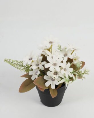 Artificial Table Plants 17*17*18cm Daisy in PP pot GS-03323045-W1 Potted Flowers&Plants YeahFlower is one of Chinese leading OEM manufacturers and exporters , supplying the silk flowers, wholesale artificial trees Artificial Table Plants 17*17*18cm Daisy in PP pot GS-03323045-W1 Potted Flowers&Plants YeahFlower is one of Chinese leading OEM manufacturers and exporters , supplying the silk flowers, wholesale artificial trees