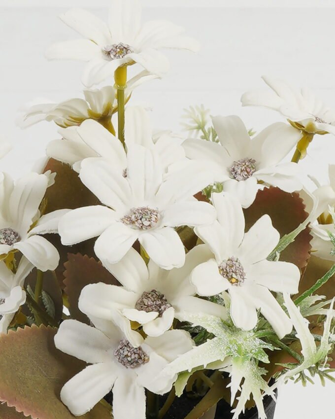 Artificial Table Plants 17*17*18cm Daisy in PP pot GS-03323045-W1 Potted Flowers&Plants YeahFlower is one of Chinese leading OEM manufacturers and exporters , supplying the silk flowers, wholesale artificial trees