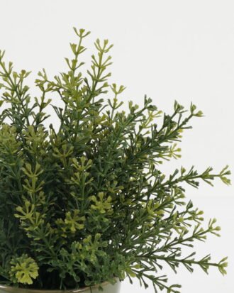 Artificial Table Plants 22*22*28cm Fennel in ceramic pot GS-03323102 Potted Flowers&Plants YeahFlower is one of Chinese leading OEM manufacturers and exporters , supplying the silk flowers, wholesale artificial trees Artificial Table Plants 22*22*28cm Fennel in ceramic pot GS-03323102 Potted Flowers&Plants YeahFlower is one of Chinese leading OEM manufacturers and exporters , supplying the silk flowers, wholesale artificial trees