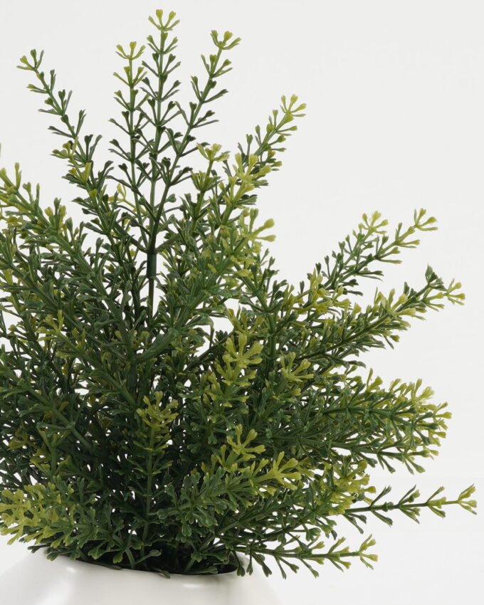 Artificial Table Plants 20*20*32cm Fennel in ceramic pot GS-03323103 Potted Flowers&Plants YeahFlower is one of Chinese leading OEM manufacturers and exporters , supplying the silk flowers, wholesale artificial trees