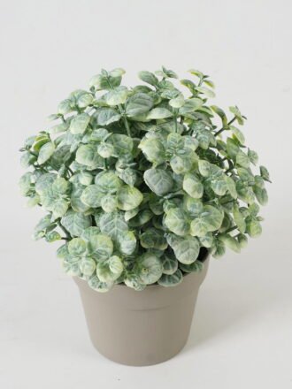 Artificial Table Plants  GS-05523022CONTI Potted Flowers&Plants 3,000+ sqm showroom with thousands of artificial flowers, plants & trees ready for global sourcing.