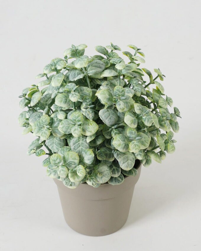 Artificial Table Plants  GS-05523021CONTI Potted Flowers&Plants YeahFlower is one of Chinese leading OEM manufacturers and exporters , supplying the silk flowers, wholesale artificial trees
