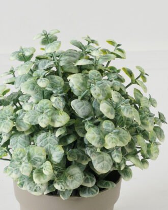 Artificial Table Plants  GS-05523021CONTI Potted Flowers&Plants YeahFlower is one of Chinese leading OEM manufacturers and exporters , supplying the silk flowers, wholesale artificial trees