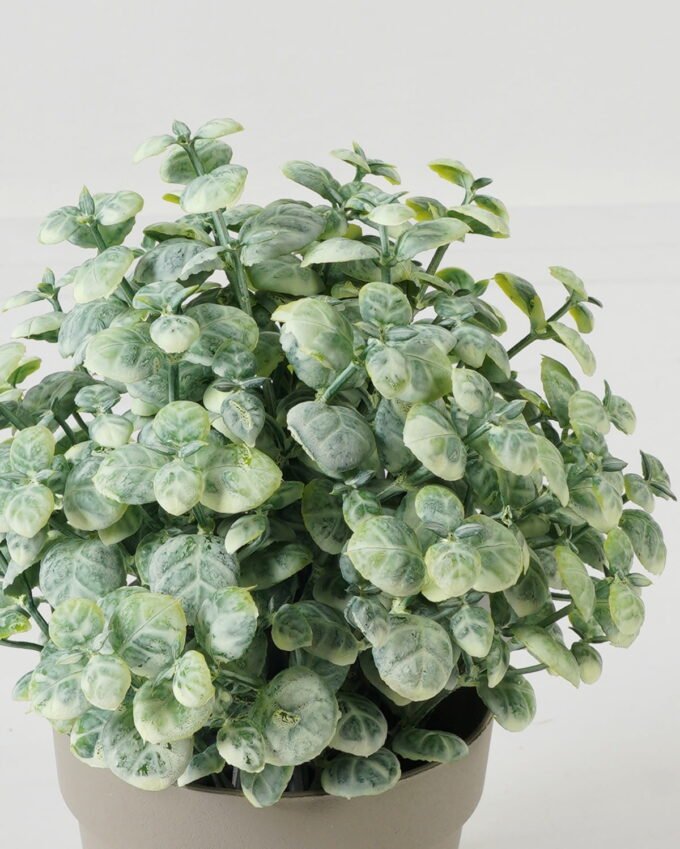 Artificial Table Plants  GS-05523021CONTI Potted Flowers&Plants YeahFlower is one of Chinese leading OEM manufacturers and exporters , supplying the silk flowers, wholesale artificial trees
