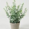 Artificial Table Plants  GS-05523023CONTI Potted Flowers&Plants YeahFlower is one of Chinese leading OEM manufacturers and exporters , supplying the silk flowers, wholesale artificial trees