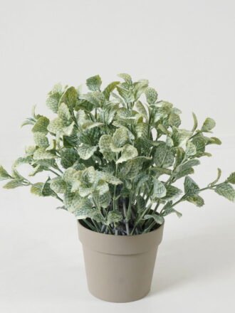 Artificial Table Plants  GS-05523023CONTI Potted Flowers&Plants 3,000+ sqm showroom with thousands of artificial flowers, plants & trees ready for global sourcing.