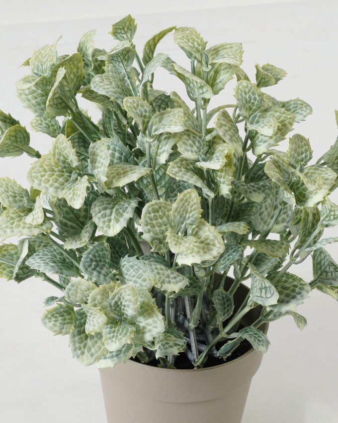 Artificial Table Plants GS05523024CONTI Silk Flowers Factory