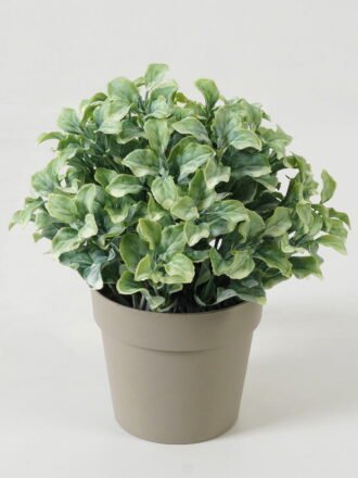 Artificial Table Plants  GS-05523027CONTI Potted Flowers&Plants 3,000+ sqm showroom with thousands of artificial flowers, plants & trees ready for global sourcing.
