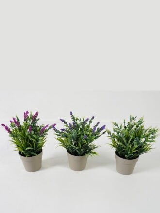 Artificial Table Plants  GS-05523027CONTI Potted Flowers&Plants 3,000+ sqm showroom with thousands of artificial flowers, plants & trees ready for global sourcing.