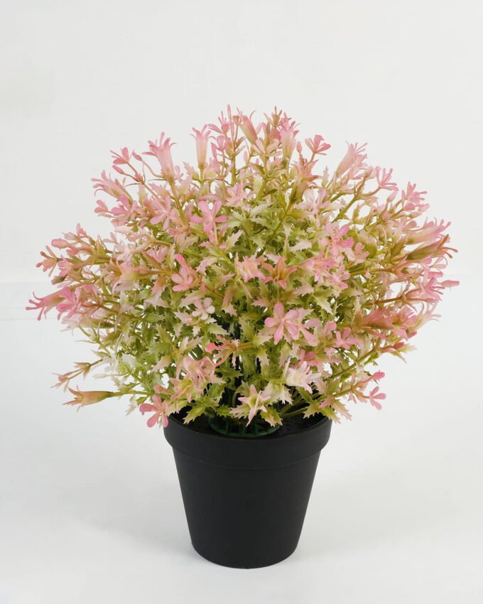 Artificial Table Plants 23*23*28cm Jasmine in PP pot GS-70423013CONTI Potted Flowers&Plants YeahFlower is one of Chinese leading OEM manufacturers and exporters , supplying the silk flowers, wholesale artificial trees