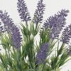 Artificial Table Plants 20*20*33cm Lavender in ceramic pot GS-03323054 Potted Flowers&Plants YeahFlower is one of Chinese leading OEM manufacturers and exporters , supplying the silk flowers, wholesale artificial trees