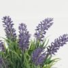 Artificial Table Plants Lavender in ceramic pot GS-03323055_4 Artificial Table Plants 16*16*22cm Lavender in ceramic pot GS-03323055 Potted Flowers&Plants YeahFlower is one of Chinese leading OEM manufacturers and exporters , supplying the silk flowers, wholesale artificial trees