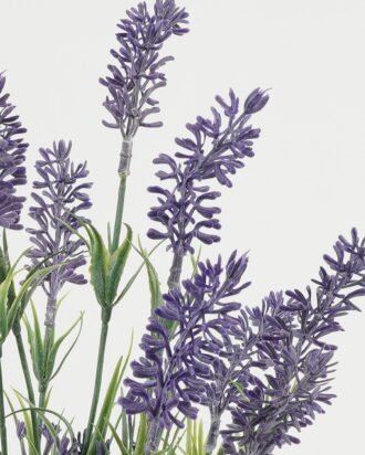 Artificial Table Plants 23*23*40cm Lavender in ceramic pot GS-03323057 Potted Flowers&Plants YeahFlower is one of Chinese leading OEM manufacturers and exporters , supplying the silk flowers, wholesale artificial trees Artificial Table Plants 23*23*40cm Lavender in ceramic pot GS-03323057 Potted Flowers&Plants YeahFlower is one of Chinese leading OEM manufacturers and exporters , supplying the silk flowers, wholesale artificial trees