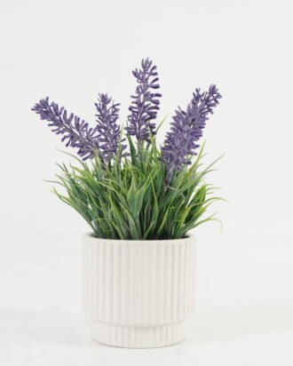 Artificial Table Plants 13*13*19cm Lavender in ceramict pot GS-03323059 Potted Flowers&Plants YeahFlower is one of Chinese leading OEM manufacturers and exporters , supplying the silk flowers, wholesale artificial trees Artificial Table Plants 13*13*19cm Lavender in ceramict pot GS-03323059 Potted Flowers&Plants YeahFlower is one of Chinese leading OEM manufacturers and exporters , supplying the silk flowers, wholesale artificial trees