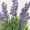 Artificial Table Plants Lavender in ceramict pot GS-03323059_4 Artificial Table Plants 13*13*19cm Lavender in ceramict pot GS-03323059 Potted Flowers&Plants YeahFlower is one of Chinese leading OEM manufacturers and exporters , supplying the silk flowers, wholesale artificial trees