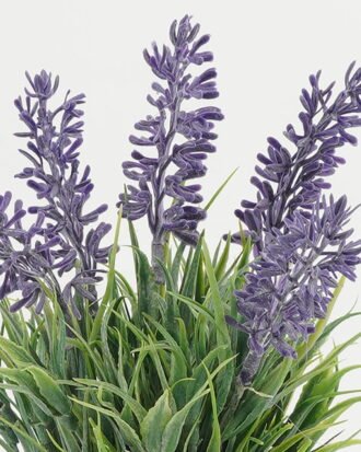 Artificial Table Plants 13*13*19cm Lavender in ceramict pot GS-03323059 Potted Flowers&Plants YeahFlower is one of Chinese leading OEM manufacturers and exporters , supplying the silk flowers, wholesale artificial trees Artificial Table Plants 13*13*19cm Lavender in ceramict pot GS-03323059 Potted Flowers&Plants YeahFlower is one of Chinese leading OEM manufacturers and exporters , supplying the silk flowers, wholesale artificial trees