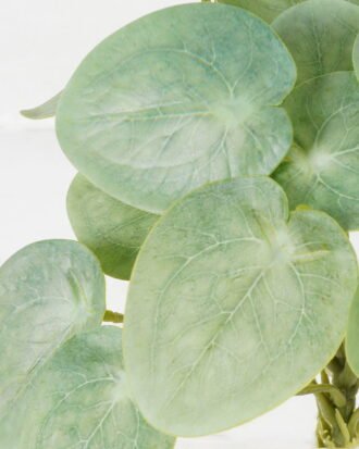 Artificial Table Plants 22*22*27cm Leaf bush GS-70523001CONTI Leaves&Sprays&Foliages YeahFlower is one of Chinese leading OEM manufacturers and exporters , supplying the silk flowers, wholesale artificial trees Artificial Table Plants 22*22*27cm Leaf bush GS-70523001CONTI Leaves&Sprays&Foliages YeahFlower is one of Chinese leading OEM manufacturers and exporters , supplying the silk flowers, wholesale artificial trees