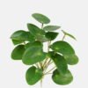 Artificial Table Plants Leaf bush GS-70523001CONTI_5 Artificial Table Plants 22*22*27cm Leaf bush GS-70523001CONTI Leaves&Sprays&Foliages YeahFlower is one of Chinese leading OEM manufacturers and exporters , supplying the silk flowers, wholesale artificial trees