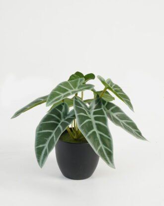 Artificial Table Plants 21*21*15cm Leaf in PP pot GS-70123022CONTI Potted Flowers&Plants YeahFlower is one of Chinese leading OEM manufacturers and exporters , supplying the silk flowers, wholesale artificial trees