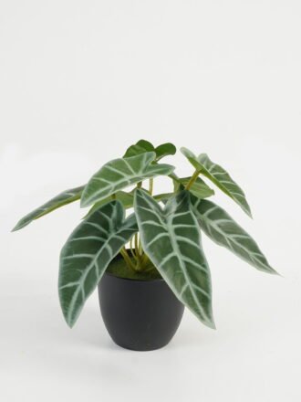 Artificial Table Plants 16*16*15cm Leaf in PP pot GS-70123025CONTI Potted Flowers&Plants 3,000+ sqm showroom with thousands of artificial flowers, plants & trees ready for global sourcing.