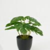 Artificial Table Plants 16*16*15cm Leaf in PP pot GS-70123025CONTI Potted Flowers&Plants YeahFlower is one of Chinese leading OEM manufacturers and exporters , supplying the silk flowers, wholesale artificial trees
