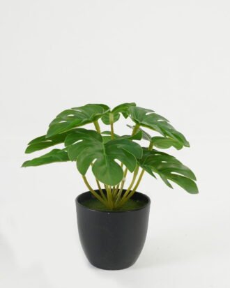 Artificial Table Plants 16*16*15cm Leaf in PP pot GS-70123025CONTI Potted Flowers&Plants YeahFlower is one of Chinese leading OEM manufacturers and exporters , supplying the silk flowers, wholesale artificial trees