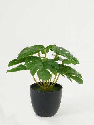 Artificial Table Plants 15*15*15cm Leaf in PP pot GS-70123026CONTI Potted Flowers&Plants 3,000+ sqm showroom with thousands of artificial flowers, plants & trees ready for global sourcing.