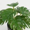 Artificial Table Plants 16*16*15cm Leaf in PP pot GS-70123025CONTI Potted Flowers&Plants YeahFlower is one of Chinese leading OEM manufacturers and exporters , supplying the silk flowers, wholesale artificial trees