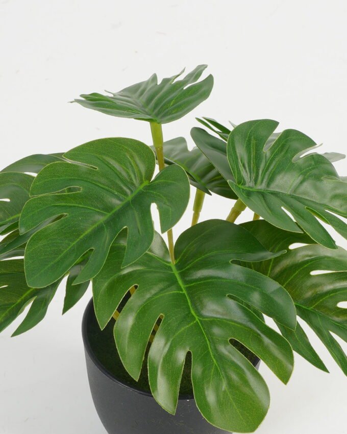 Artificial Table Plants 16*16*15cm Leaf in PP pot GS-70123025CONTI Potted Flowers&Plants YeahFlower is one of Chinese leading OEM manufacturers and exporters , supplying the silk flowers, wholesale artificial trees