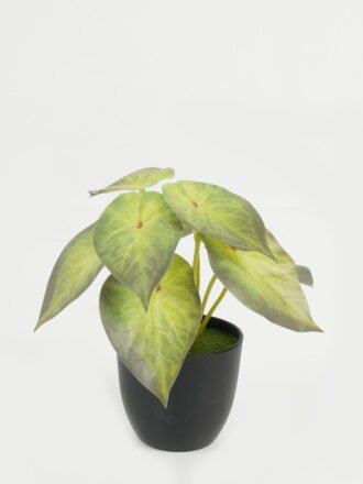 Artificial Table Plants 17*17*15cm Leaf in PP pot GS-70123028CONTI Potted Flowers&Plants 3,000+ sqm showroom with thousands of artificial flowers, plants & trees ready for global sourcing.