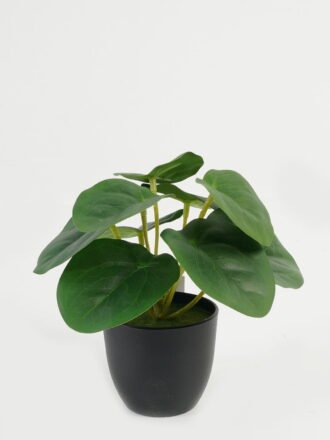 Artificial Table Plants 15*15*15cm Leaf in PP pot GS-70123026CONTI Potted Flowers&Plants 3,000+ sqm showroom with thousands of artificial flowers, plants & trees ready for global sourcing.