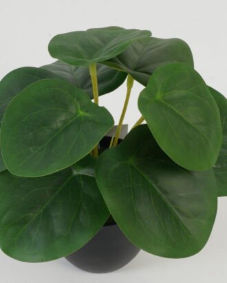 Artificial Table Plants 17*17*15cm Leaf in PP pot GS-70123028CONTI Potted Flowers&Plants YeahFlower is one of Chinese leading OEM manufacturers and exporters , supplying the silk flowers, wholesale artificial trees
